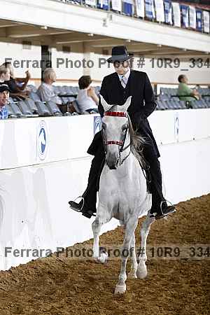 Proof Number 10r9_3341