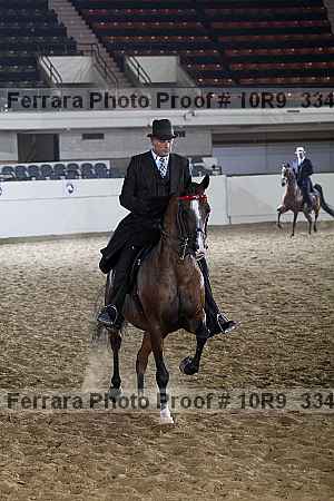 Proof Number 10r9_3344