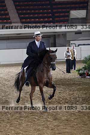 Proof Number 10r9_3345