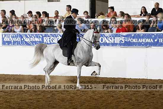 Proof Number 10r9_3355