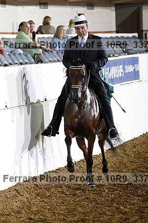 Proof Number 10r9_3370