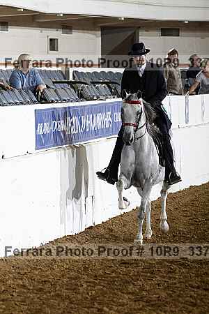 Proof Number 10r9_3372