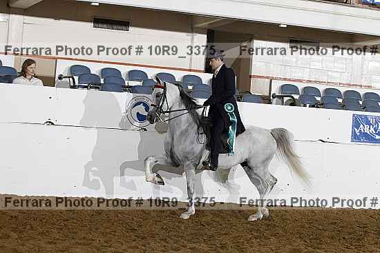 Proof Number 10r9_3375
