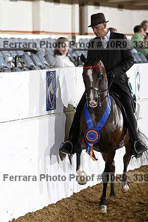 Proof Number 10r9_3381