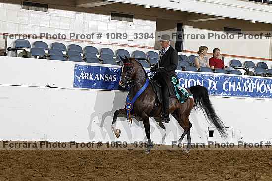 Proof Number 10r9_3384