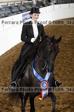 Proof Number 10r9_3423