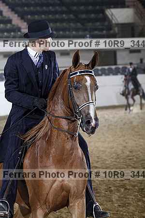 Proof Number 10r9_3442