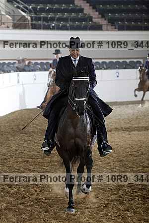 Proof Number 10r9_3449