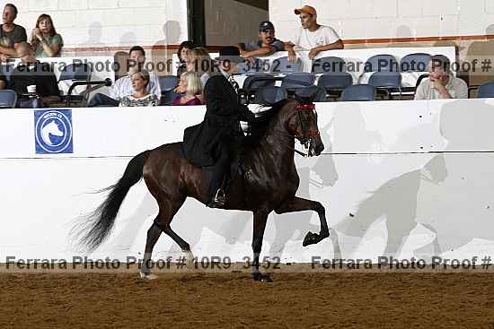 Proof Number 10r9_3452