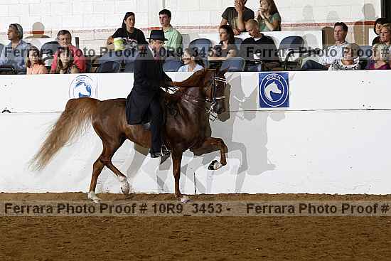 Proof Number 10r9_3453