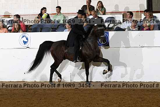 Proof Number 10r9_3454