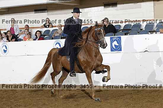 Proof Number 10r9_3455