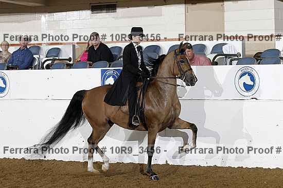 Proof Number 10r9_3456