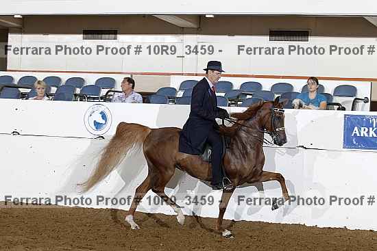 Proof Number 10r9_3459
