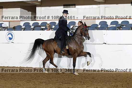 Proof Number 10r9_3461