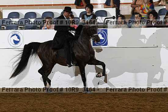 Proof Number 10r9_3464