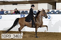 10r9_3469 thumbnail