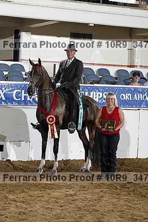 Proof Number 10r9_3470