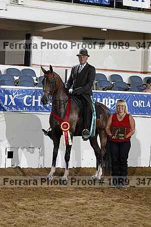 Proof Number 10r9_3471