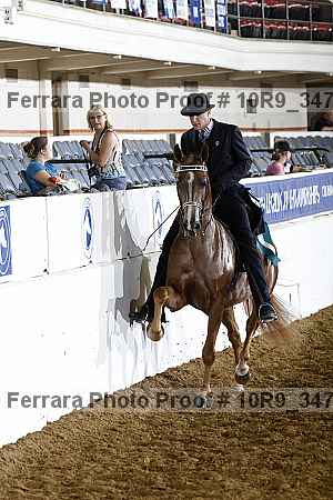 Proof Number 10r9_3478