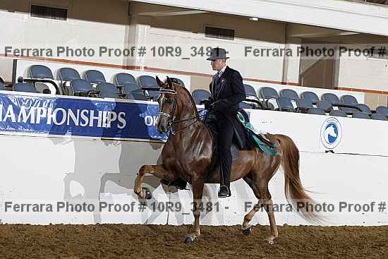 Proof Number 10r9_3481