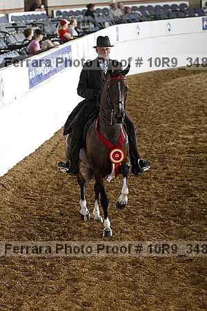 Proof Number 10r9_3483