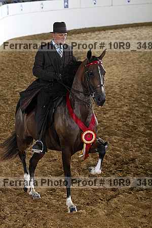 Proof Number 10r9_3484