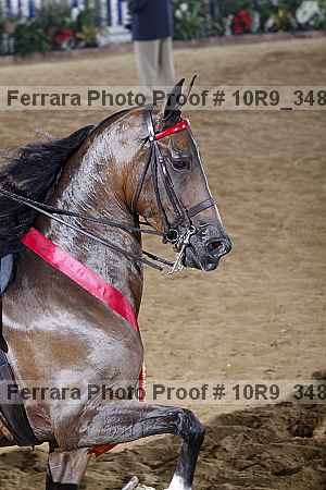 Proof Number 10r9_3485