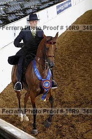Proof Number 10r9_3489