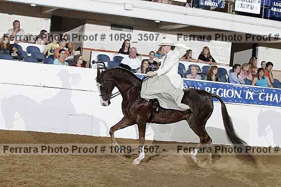 Proof Number 10r9_3507
