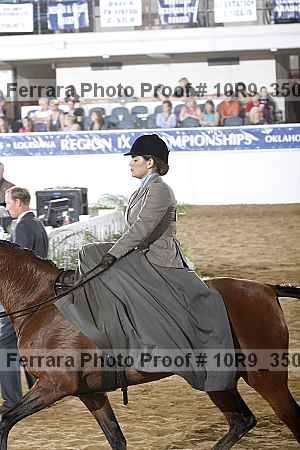 Proof Number 10r9_3509