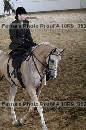 Proof Number 10r9_3521