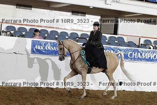 Proof Number 10r9_3523