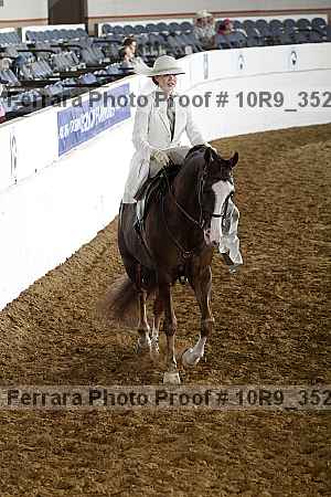 Proof Number 10r9_3524