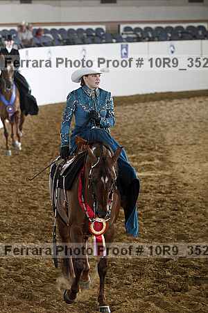 Proof Number 10r9_3527