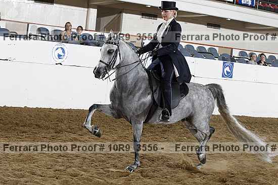 Proof Number 10r9_3556
