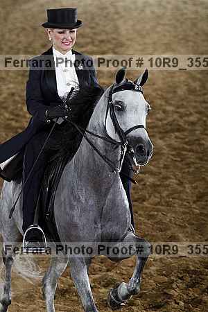 Proof Number 10r9_3558