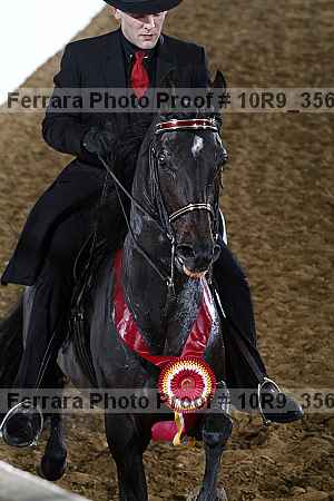 Proof Number 10r9_3566