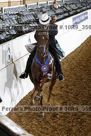 Proof Number 10r9_3569