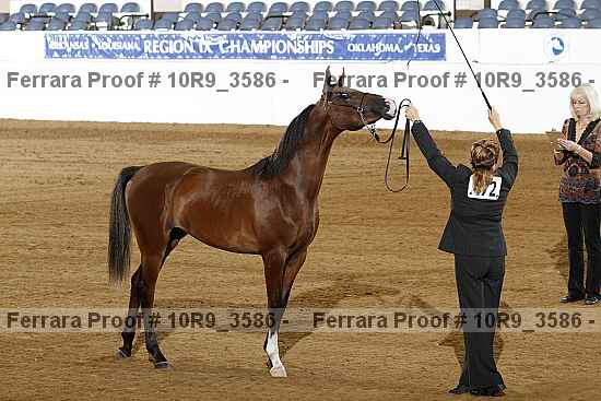 Proof Number 10r9_3586
