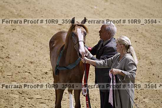 Proof Number 10r9_3594
