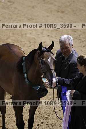 Proof Number 10r9_3599