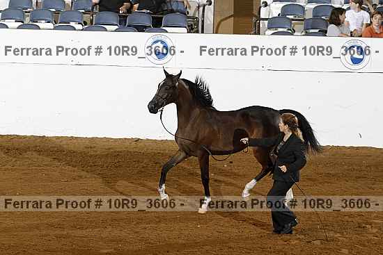 Proof Number 10r9_3606