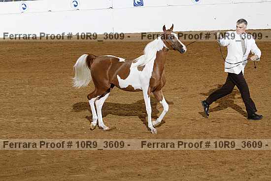Proof Number 10r9_3609