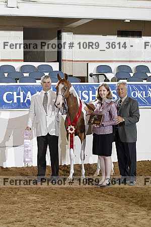 Proof Number 10r9_3614