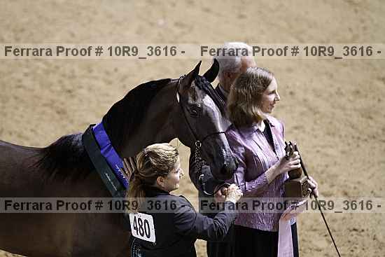 Proof Number 10r9_3616