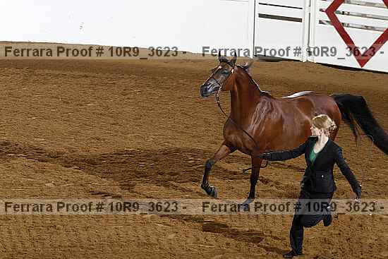 Proof Number 10r9_3623