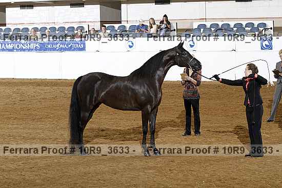 Proof Number 10r9_3633