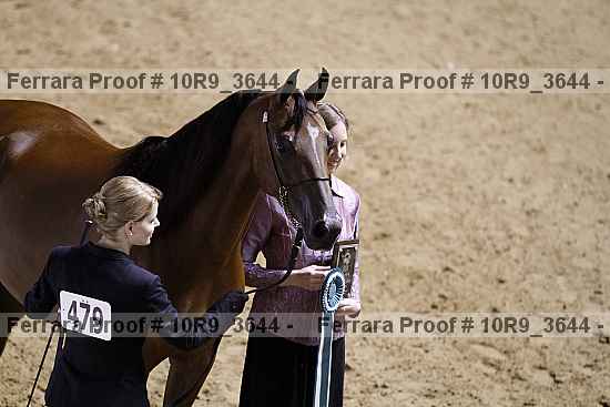 Proof Number 10r9_3644