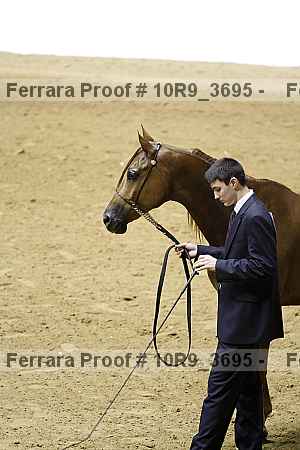 Proof Number 10r9_3695